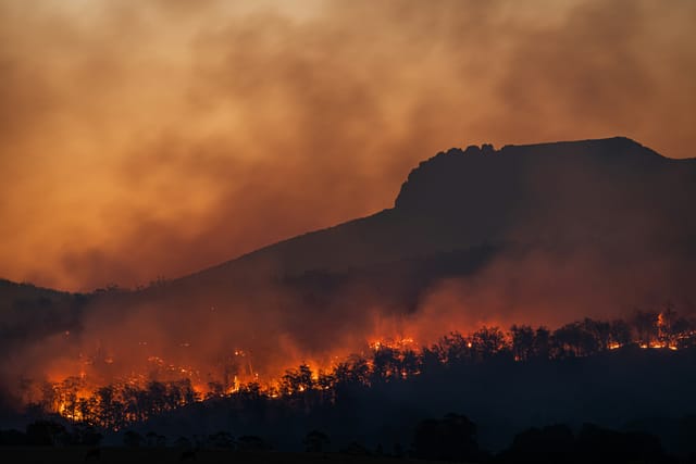 Feuerwehren im Waldbrandeinsatz in Hessen und NRW